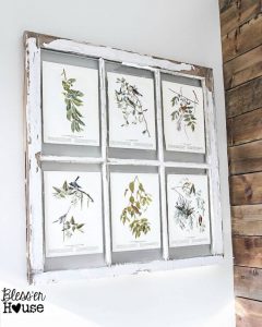 White window frame with botanical prints