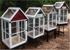 four mini greenhouses made from windows