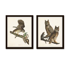 Two matching framed wall prints—one has a owl drawn mid-take-off and the other has two owls perched on a branch.