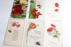 Antique holiday postcards with varying portraits of poinsettias.
