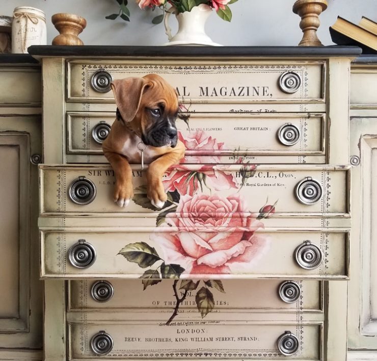 Off-white and floral dresser with a puppy resting in an open drawer.