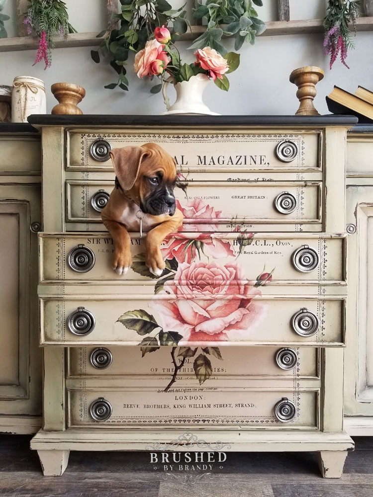Off-white and floral dresser with a puppy resting in an open drawer.