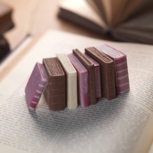Set of mini chocolate books, tasty gifts for book lovers.