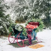 vintage sled with pine garlands and oversized bells in snowy landscape