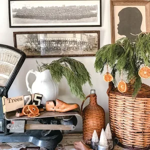 cedar branches and dried oranges sit beneath black and white photos