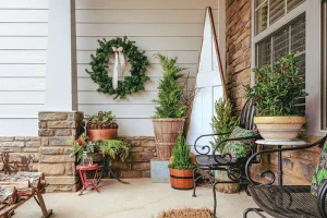 modern collected farmhouse porch with tree-shaped vintage door and potted trees