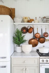 white kitchen with potted mini tree